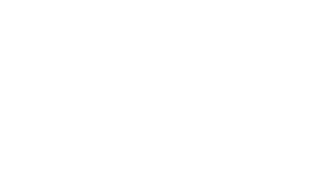 DOG CAT VILLAGE la vie.