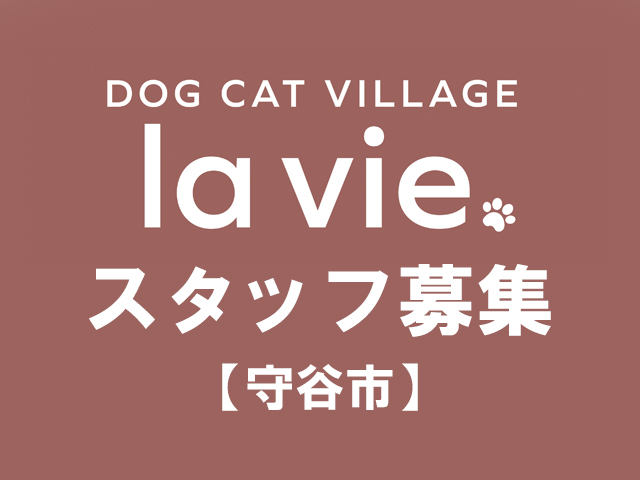 守谷市　犬猫のお世話求人