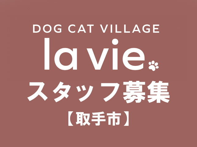 取手市　犬猫のお世話求人
