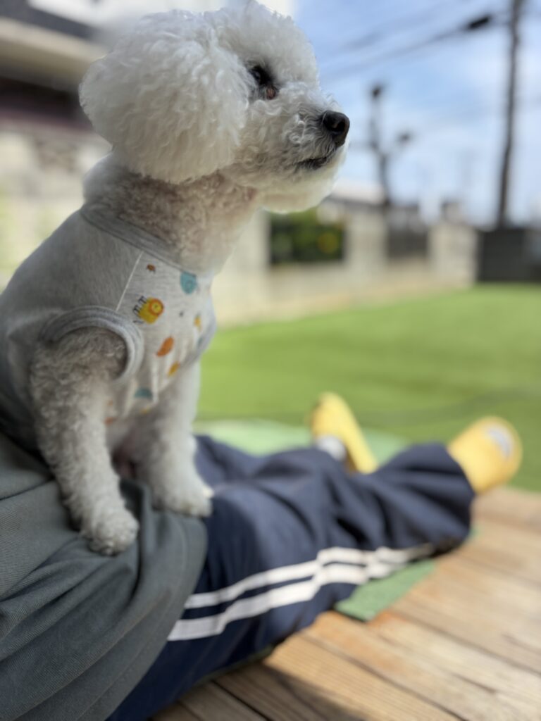 今日のlavie.🐩